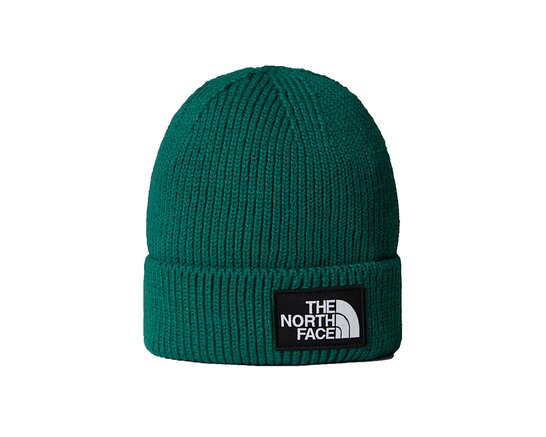 The North Face Logo Box Cuffed Beanie Evergreen NF0A8CHENL1