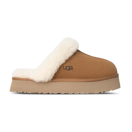 W Disquette Chestnut 1122550