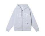 Obey Collegiate Zip Hood Ash Grey 112460035