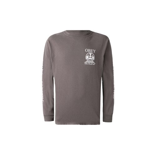 Precision LS T-shirt Pigment Dusty Black 168004226