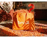 Bruut Mystery Bag worth €300