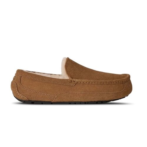 Ascot Flex Chestnut 1191110 CHE