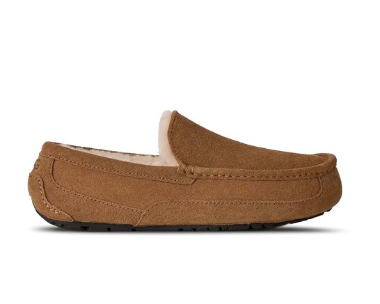 Ascot Flex Chestnut 1191110 CHE UGG Ascot Flex Chestnut 1191110 CHE