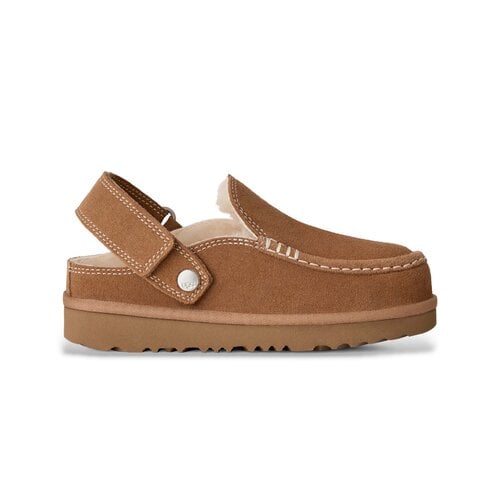 K Goldenstar Evelina Clog Chestnut 1180231K CHE