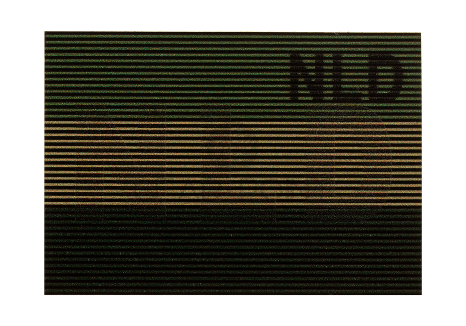 Dual IR Nederlandse NLD Vlag Patch Olive