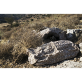 Sniper Kit-TVC100 Multi-Spectral