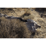 Sniper Kit-TVC100 Multi-Spectraal