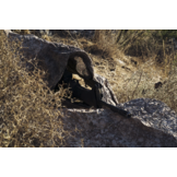 Sniper Kit-TVC100 Multi-Spectraal