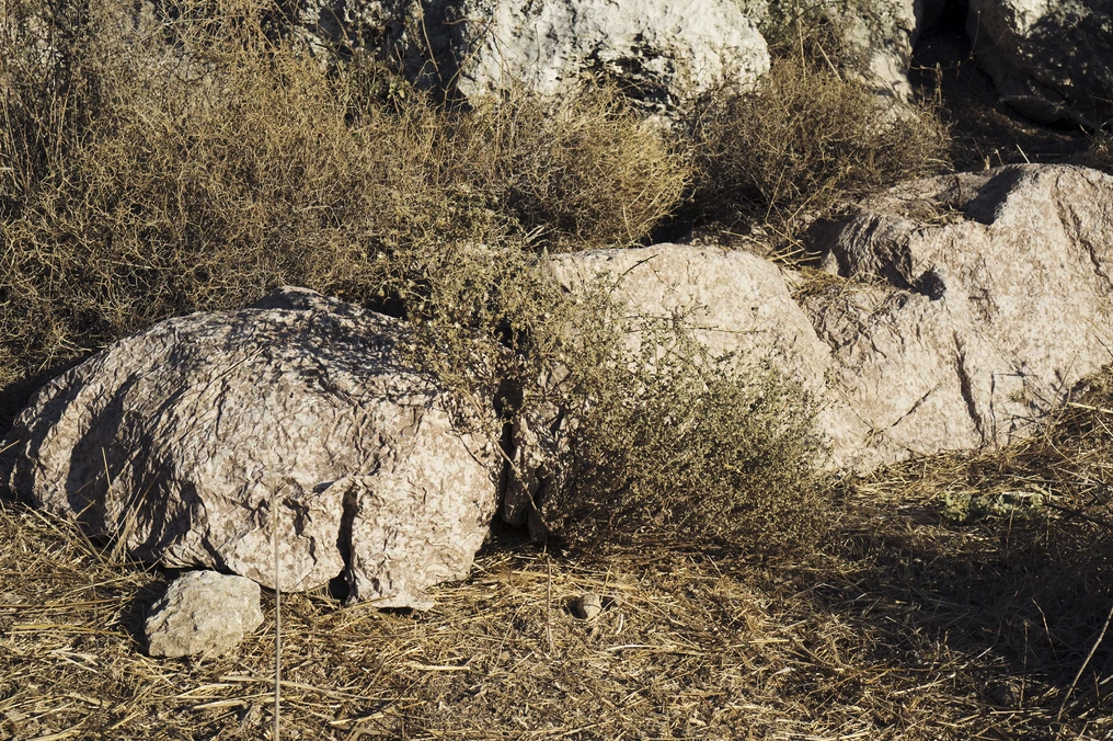 Sniper Kit-TVC100 Multi-Spectral