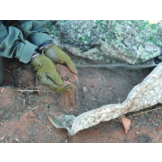 JAG Hide Multi-Spectral