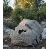 Sniper Kit-TVC100 Multi-Spectral