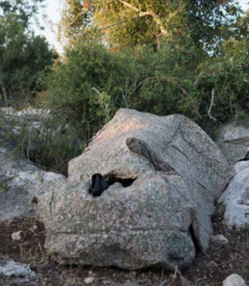 Sniper Kit-TVC100 Multi-Spectral