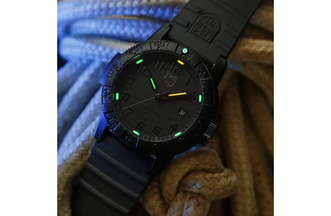 0321 Leather Back SEA Turtle Giant Black OPS
