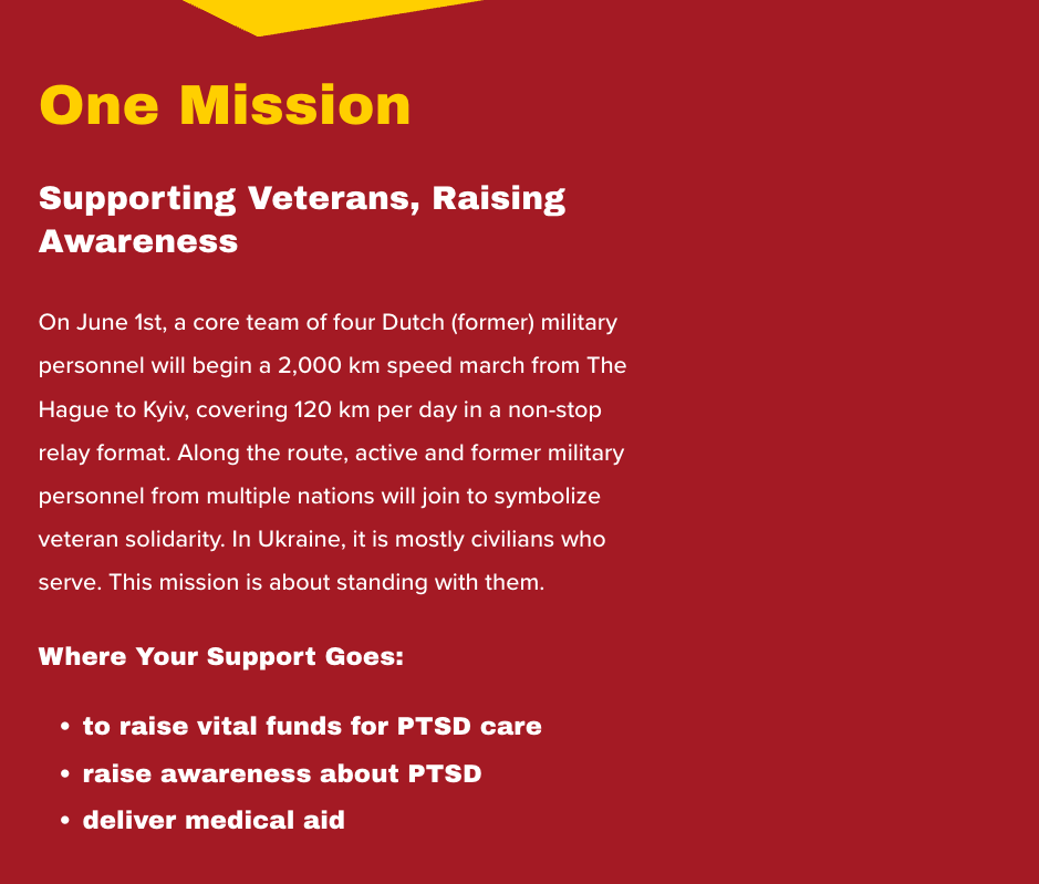 Ukraine Support Patch "Wounded Warrior"