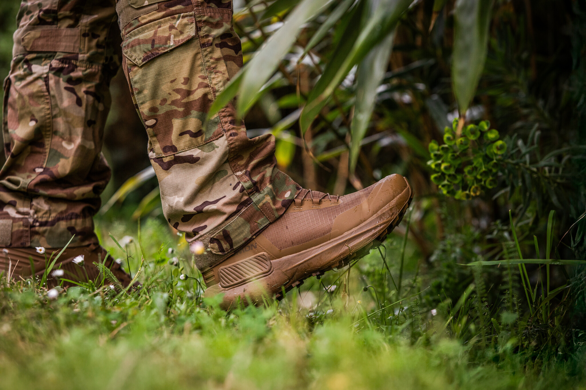 Genesis MID Forces Coyote