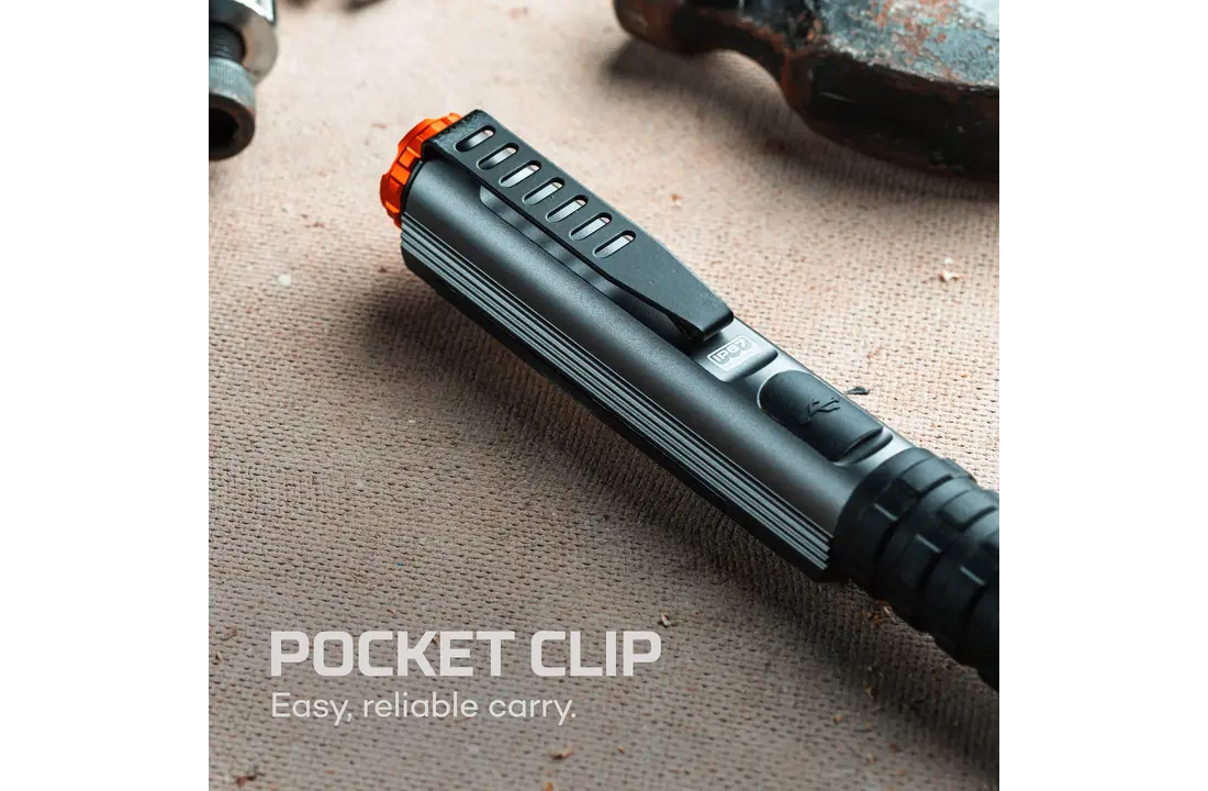 Big Larry Pro+ Black Line Flashlight (600 lumen)