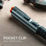 Big Larry Pro+ Black Line Flashlight (600 lumen)
