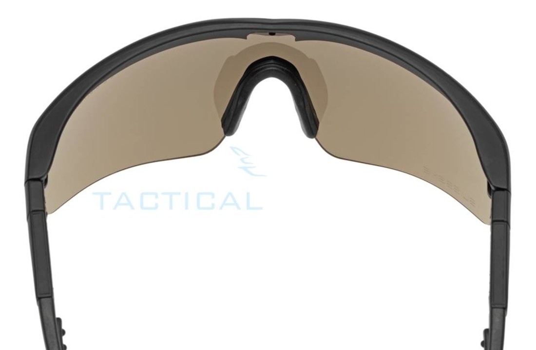 Raptor Glasses Kit Zwart