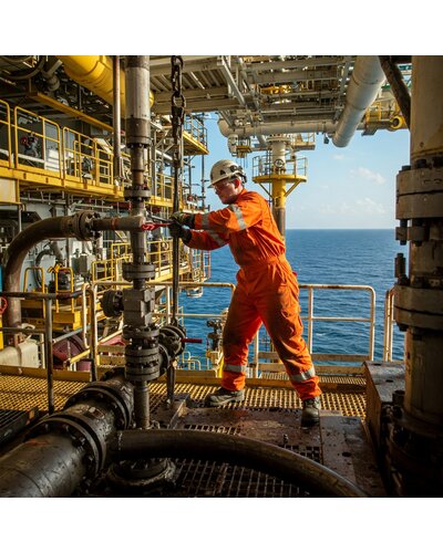 Iona Multinorm Overall Vlamvertragend en met kniezakken