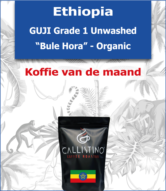 Ethiopia - Guji Unwashed - "Bule Hora" Organic
