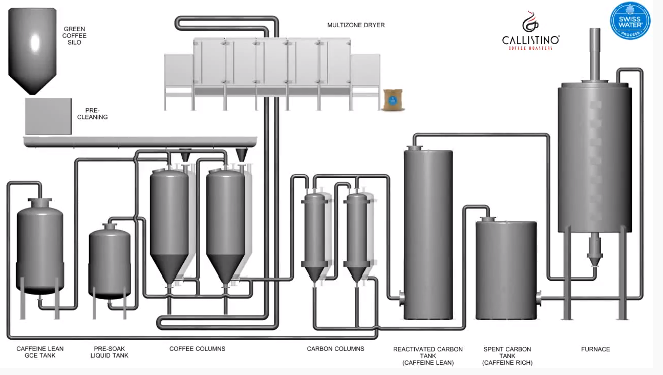 Technisch schema van de Swiss Water-installatie: silo, koffiekolommen, koolstofkolommen en droger