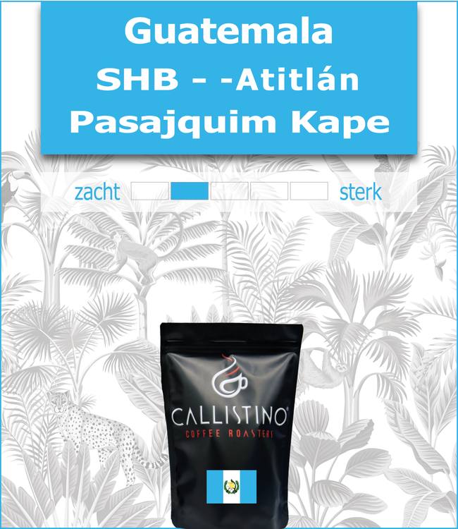 Guatemala - SHB Atitlan Pasajquim Kape