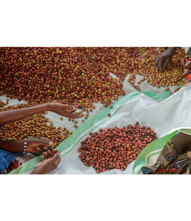 Burundi Butihinda Muyinga Province