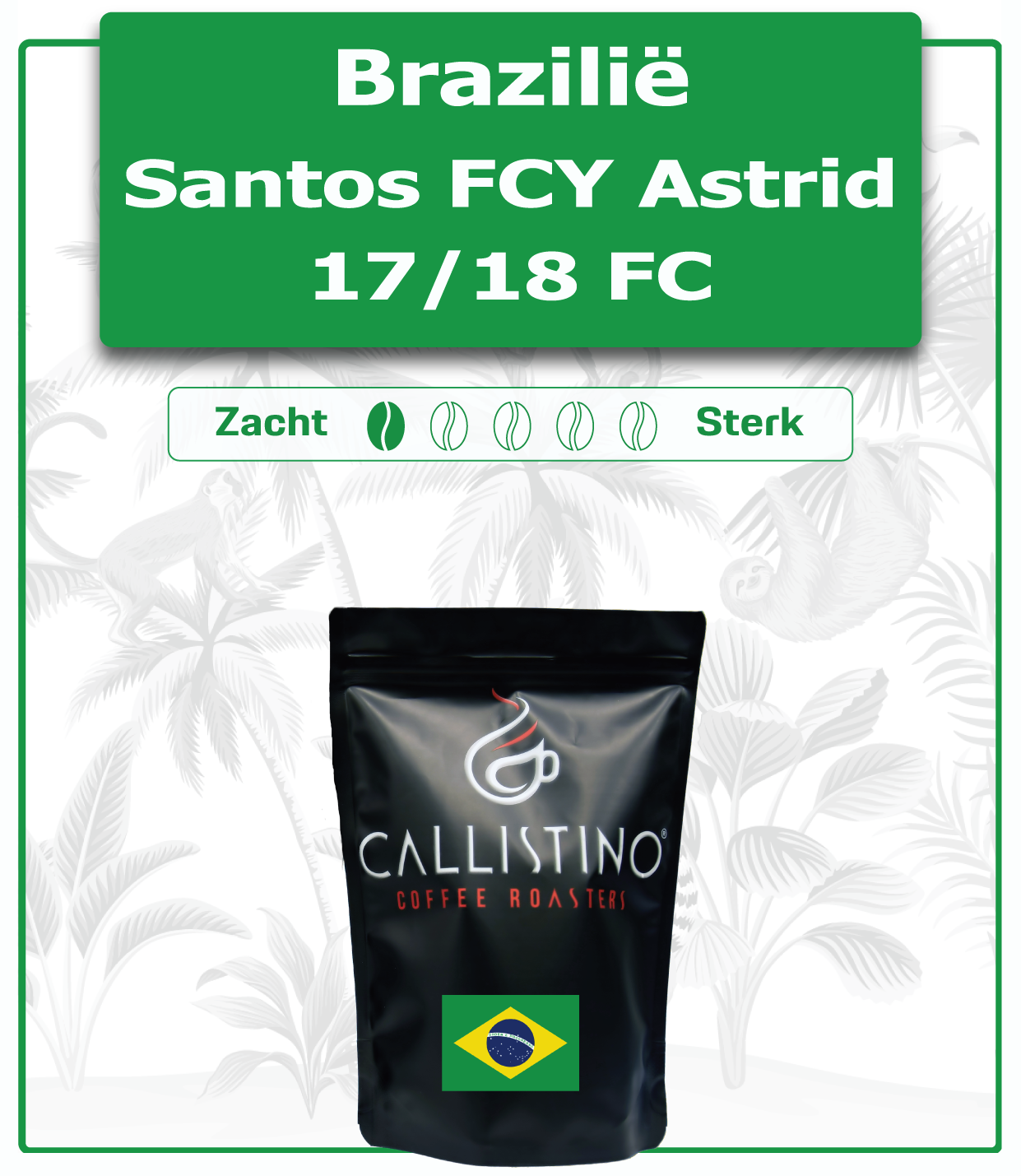 Brazil Santos Fancy Astrid 17/18 FC
