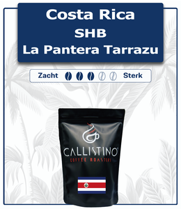Costa Rica La Pantera Tarrazu