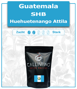 Guatemala - Huehuetenango- SHB Attila