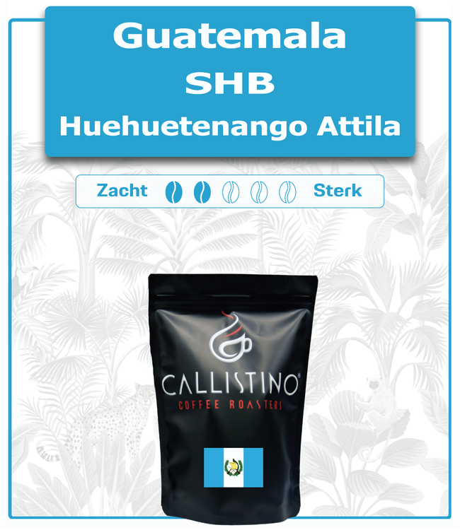 Guatemala - Huehuetenango- SHB Attila