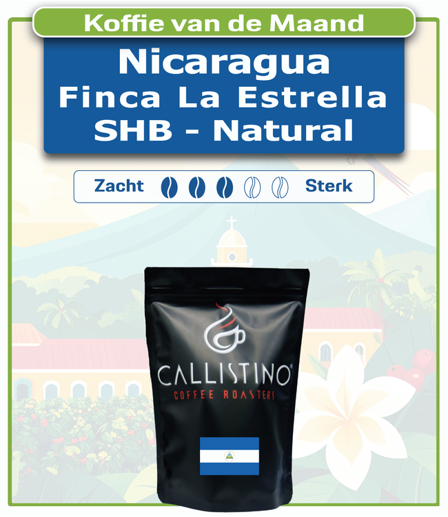Nicaragua La Estrella SHB Natural