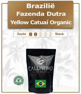 Brazil Fazenda Dutra