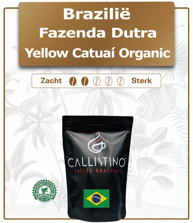Brazil Fazenda Dutra – Biologische Yellow Catuaí uit Minas Gerais