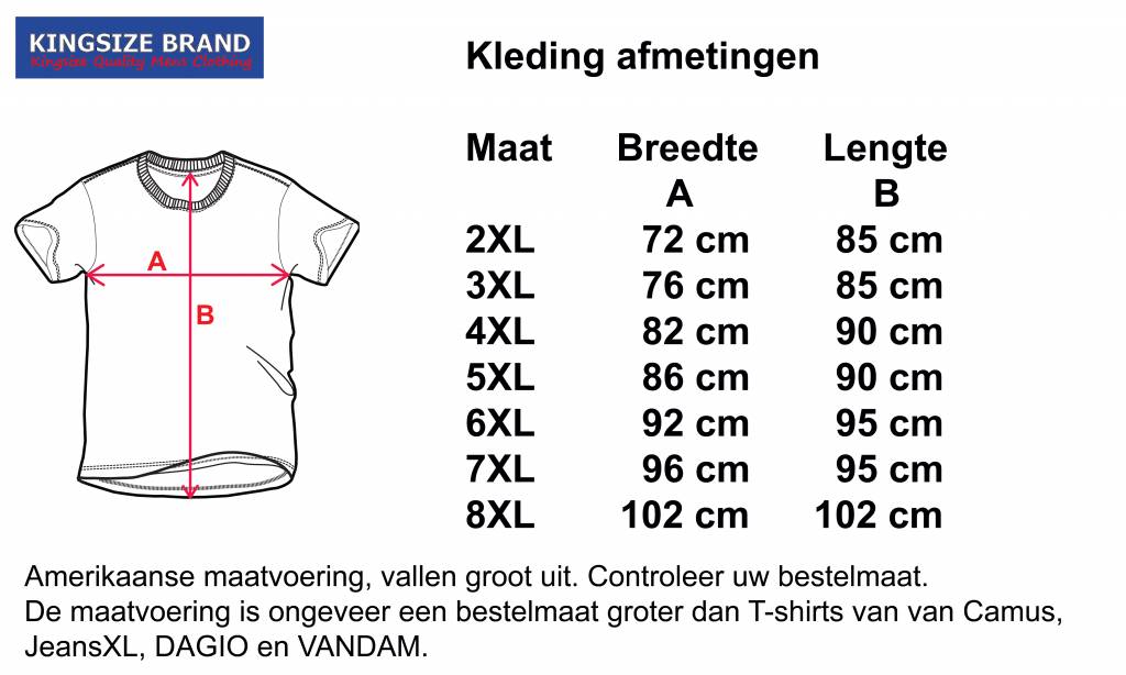 Kingsize Brand TS100 Grote maten Zwart T-shirt