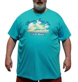 DAGIO Grandes tailles T-shirt teal 11701