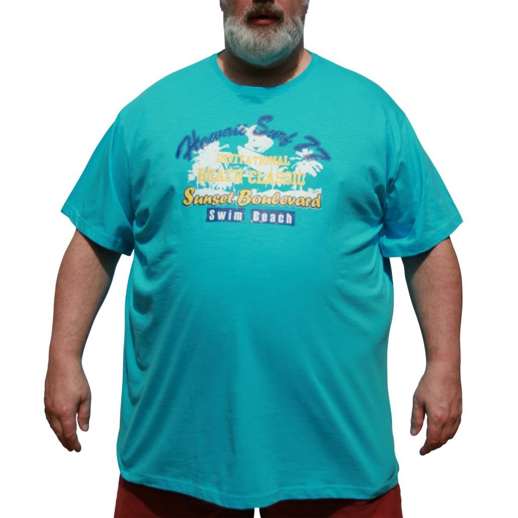 DAGIO Grandes tailles T-shirt teal 11701
