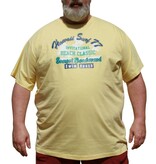 DAGIO Grandes tailles T-shirt jaune 11702