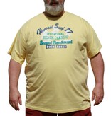 DAGIO Grote maten Geel T-shirt 11702