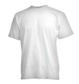 CAMUS Grandes tailles T-shirt blanc