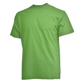 CAMUS Grandes tailles T-shirt vert lime