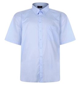 Grandes tailles Chemise bleu clair