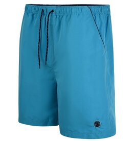 Espionage Grote maten Teal Zwemshort