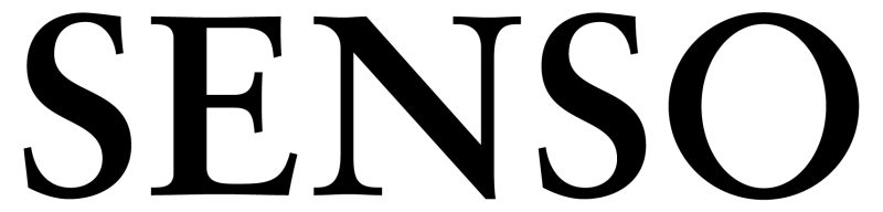 Senso Mens Fashion 