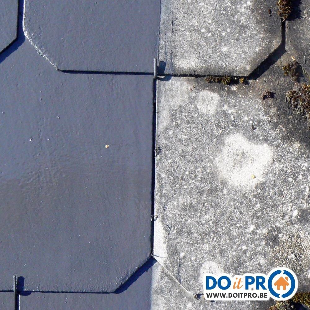 Technichem Nettoyant TECHNICLEAN TOITURES Technichem Nettoyant TECHNICLEAN TOITURES