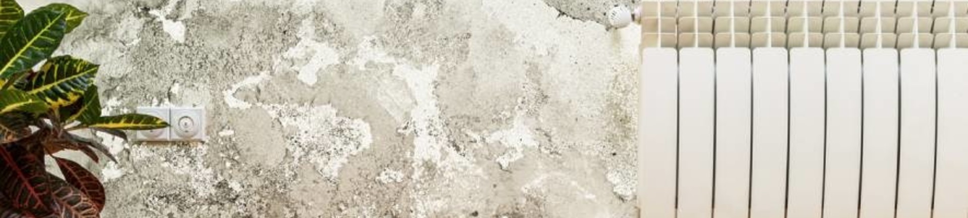 Het belang om opstijgend vocht te bestrijden