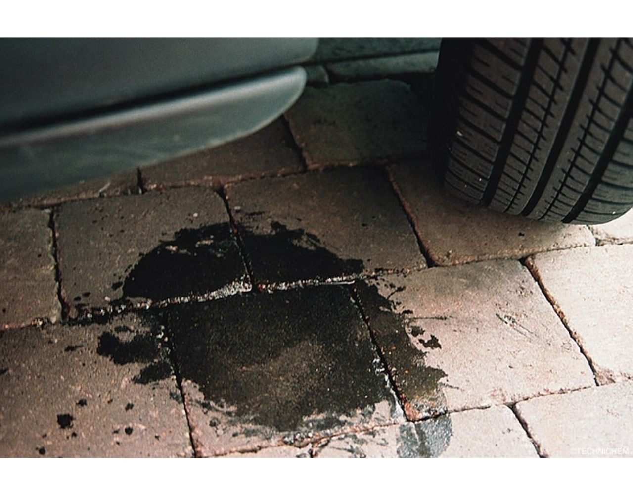 Technichem Protection Briques & Pierres TECHNIGUARD FLOOR Technichem Protection Briques & Pierres TECHNIGUARD FLOOR