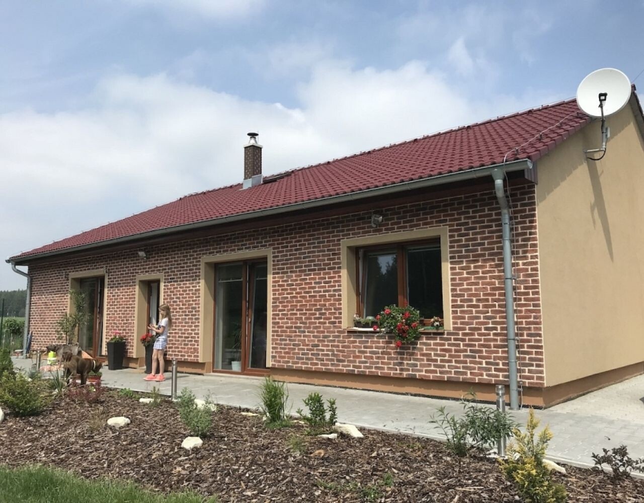 Wildstone Holland Brick – Plaquettes de parement avec aspect authentique de brique Wildstone Holland Brick – Plaquettes de parement avec aspect authentique de brique