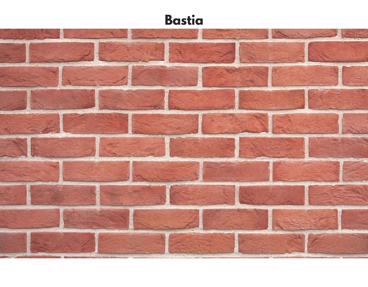 Wildstone Holland Brick – Steenstrips met karakteristieke baksteenlook Wildstone Holland Brick – Steenstrips met karakteristieke baksteenlook