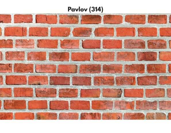 Wildstone Castle Brick – Plaquettes de pierre avec aspect classique de brique Wildstone Castle Brick – Plaquettes de pierre avec aspect classique de brique